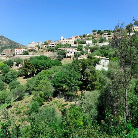 Camelia- Marjolene By Interhome * Partinello