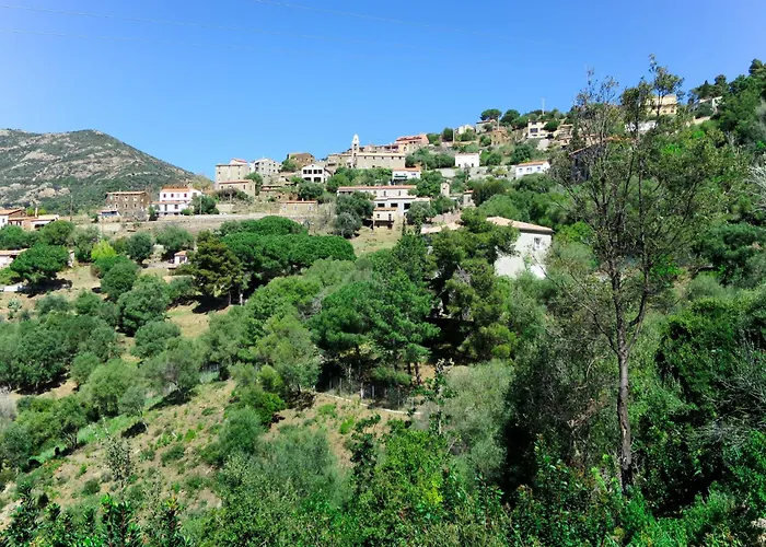 Camelia- Marjolene By Interhome * Partinello